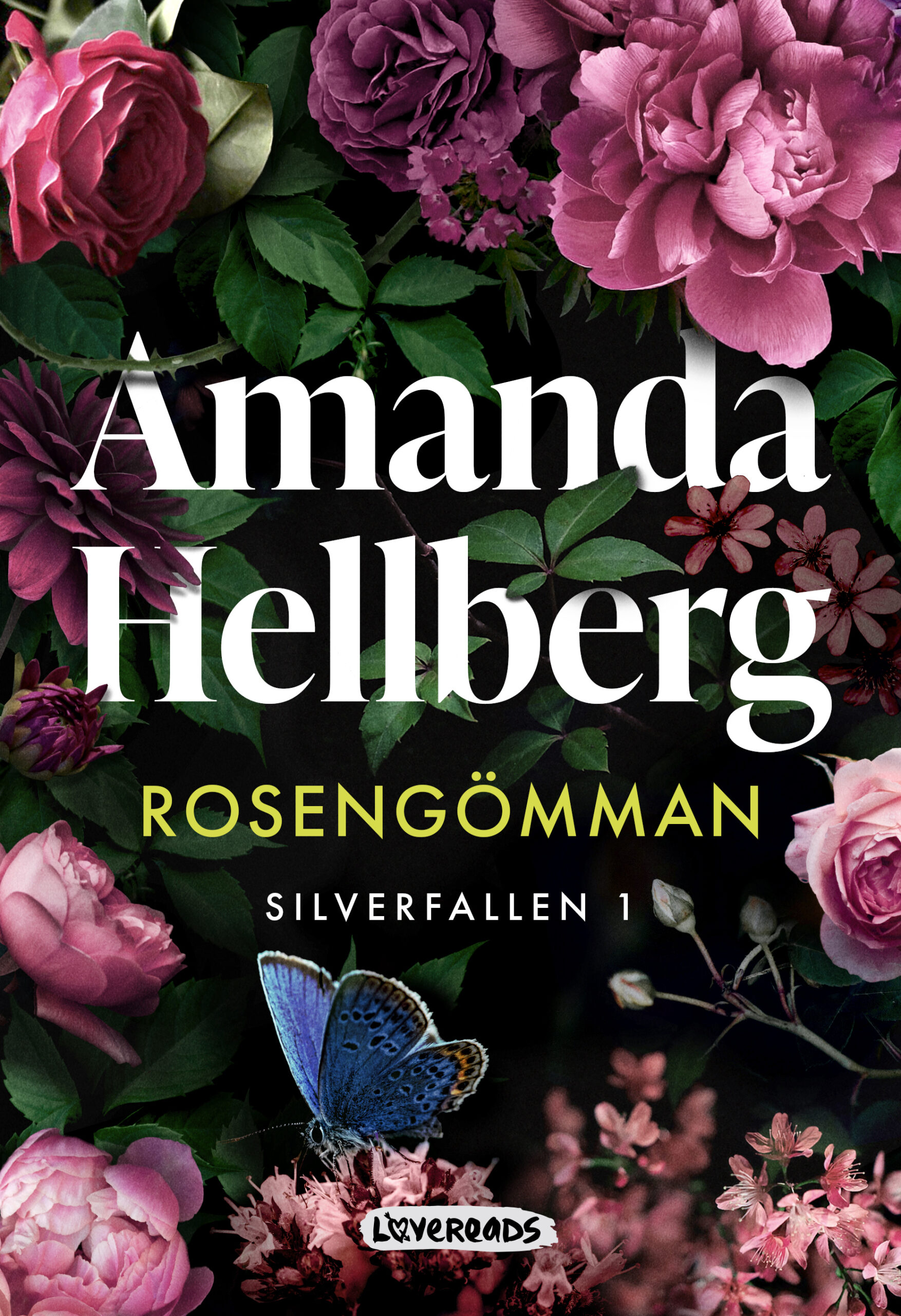 Rosengomman_Silver Falls 1 book cover